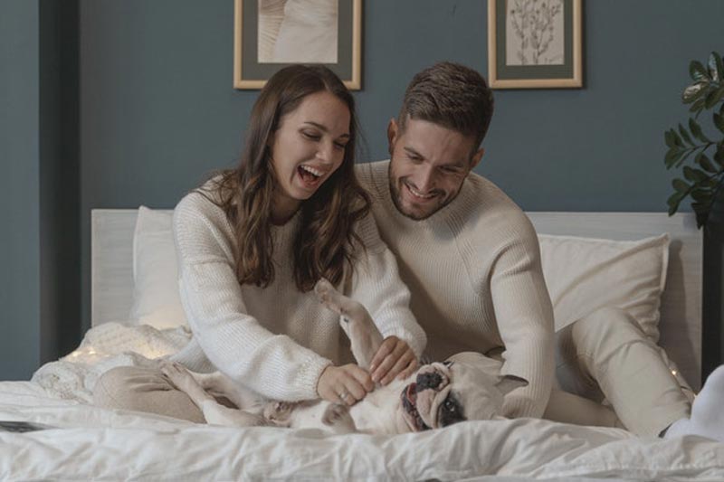 Da li mogu da pustim francuskog buldoga da spava na mom krevetu